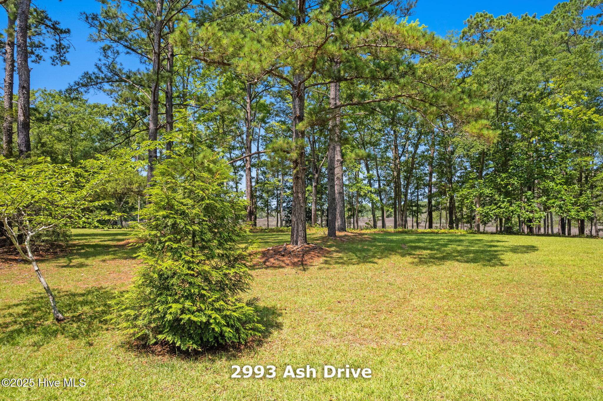 Shallotte, NC 28470,2993 Ash DR SW