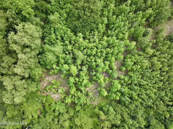 Grifton, NC 28530,0 Boss Mclawhorn RD