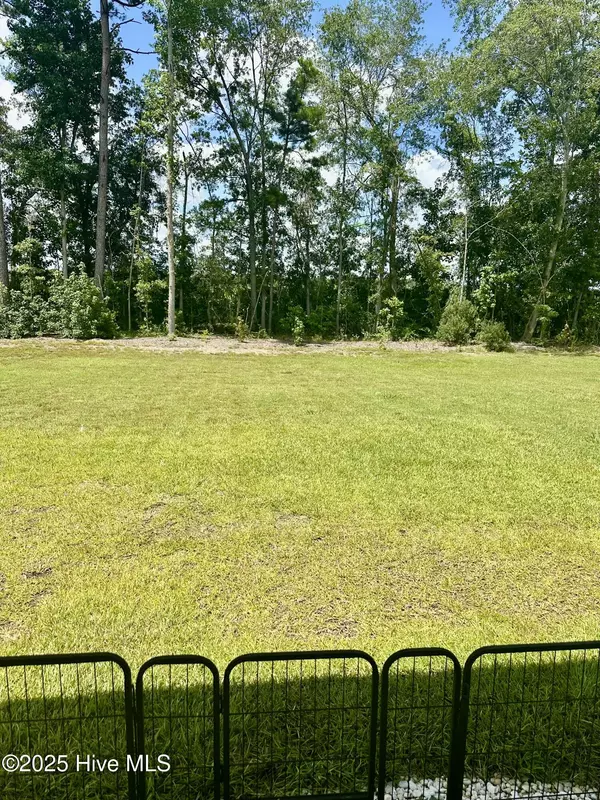Tabor City, NC 28463,48 Deerfield LN