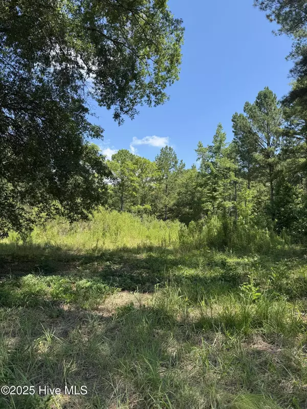 Sanford, NC 27330,244 Rascob RD