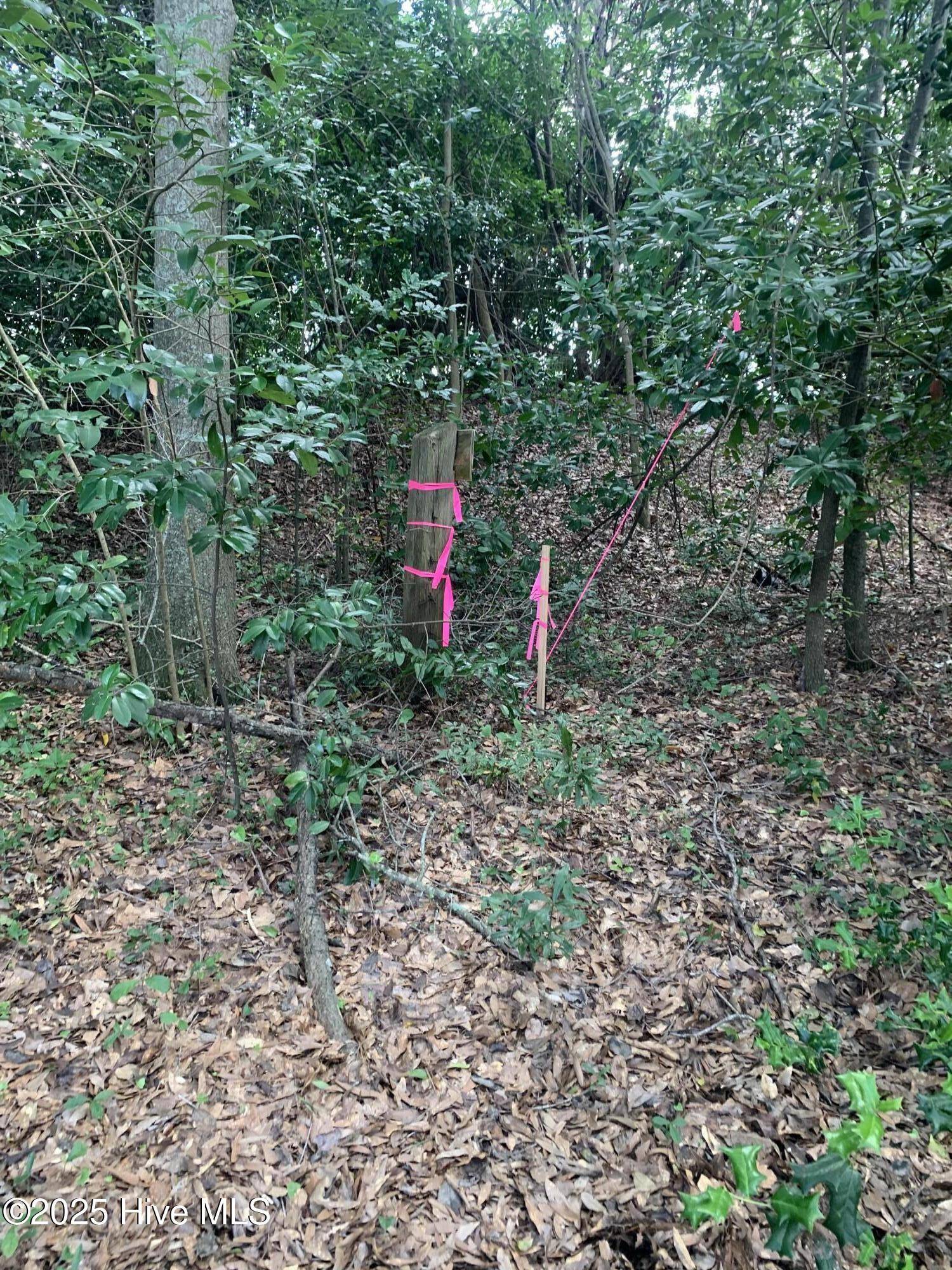 Clinton, NC 28328,000 Susan ST