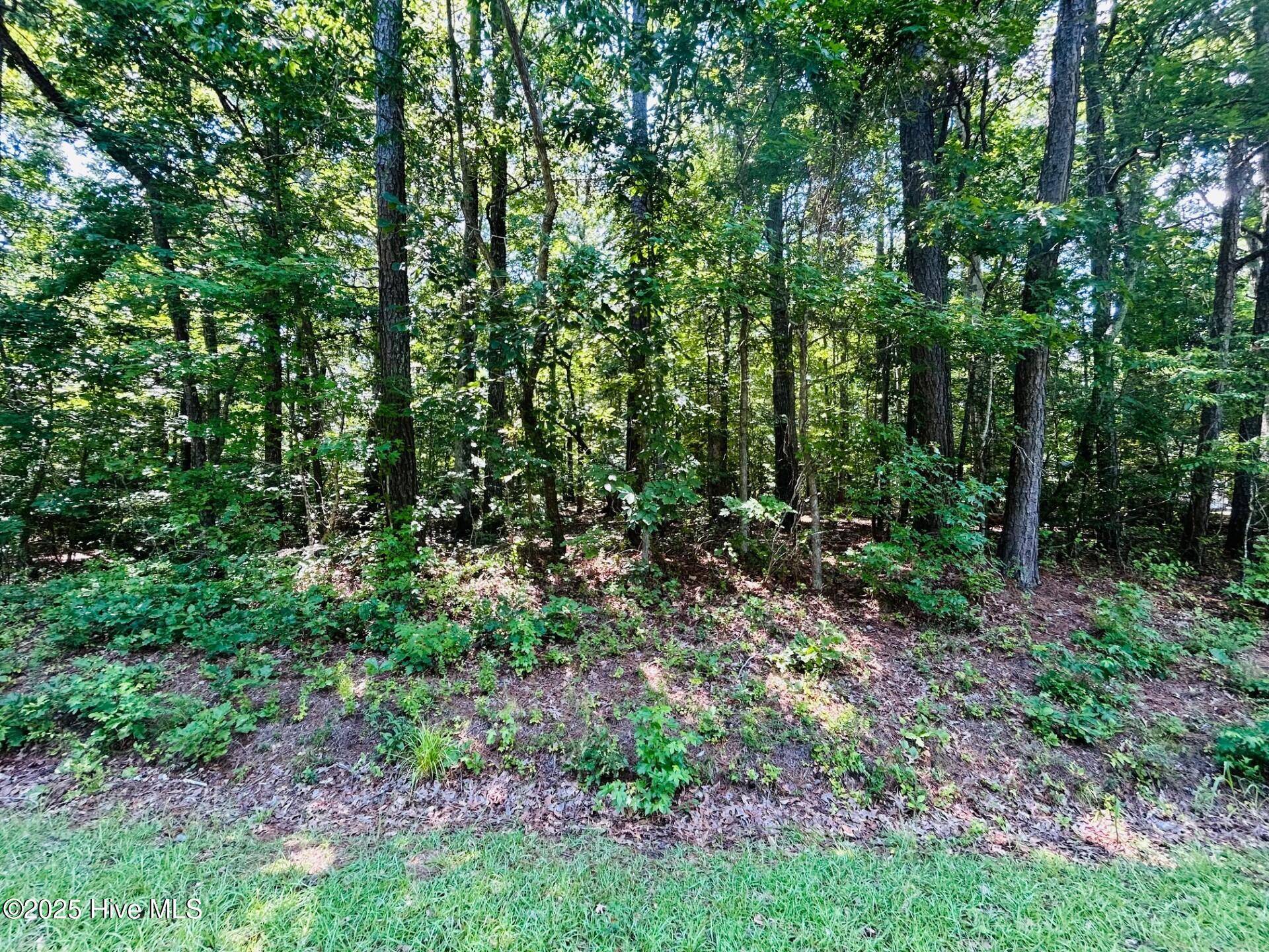 56 Holly ST, Hertford, NC 27944