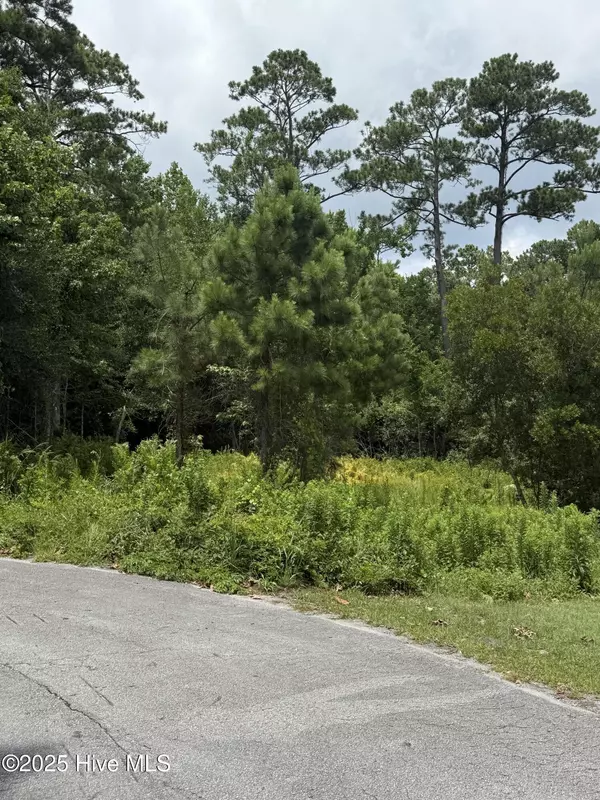 Sneads Ferry, NC 28460,1015 Meridian DR