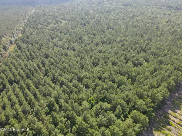 Aulander, NC 27805,143-217 War Tom RD