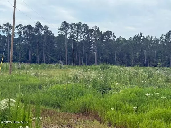 Chadbourn, NC 28431,751 Stack Turner RD