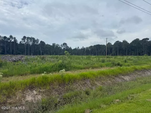 Chadbourn, NC 28431,751 Stack Turner RD