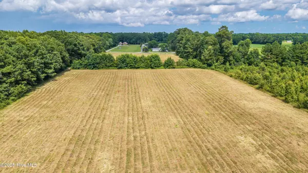 Willard, NC 28478,Tbd Horse Branch RD