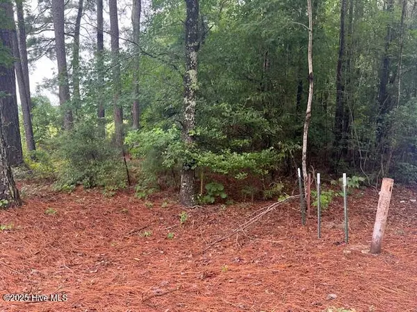 Bunnlevel, NC 28323,00 Loop Road RD