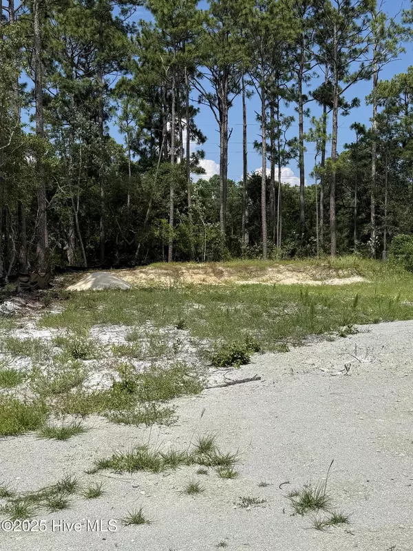 Supply, NC 28462,2286 Barnacle DR SW