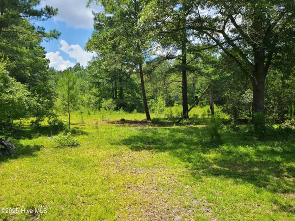 Ivanhoe, NC 28447,16462 Nc Highway 210 E