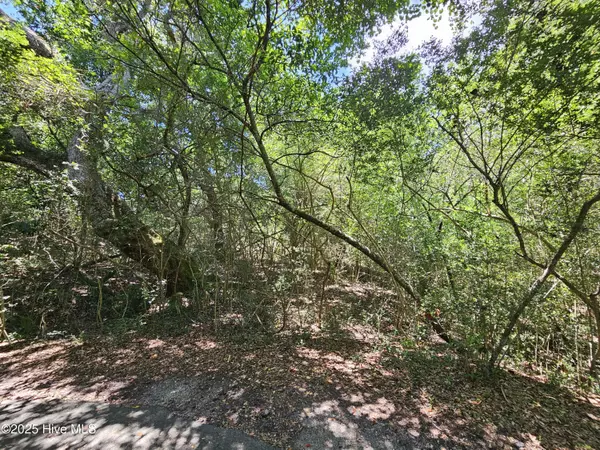 Bald Head Island, NC 28461,5 Brunswick CT