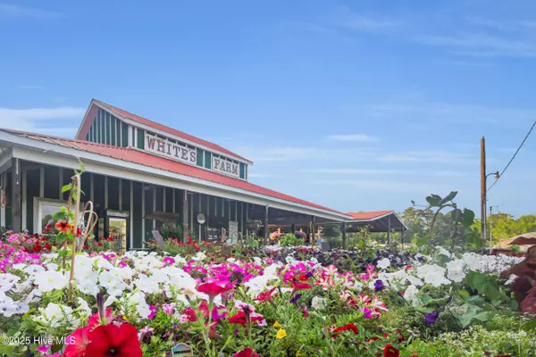 Vanceboro, NC 28586,0 Buck Lane LN