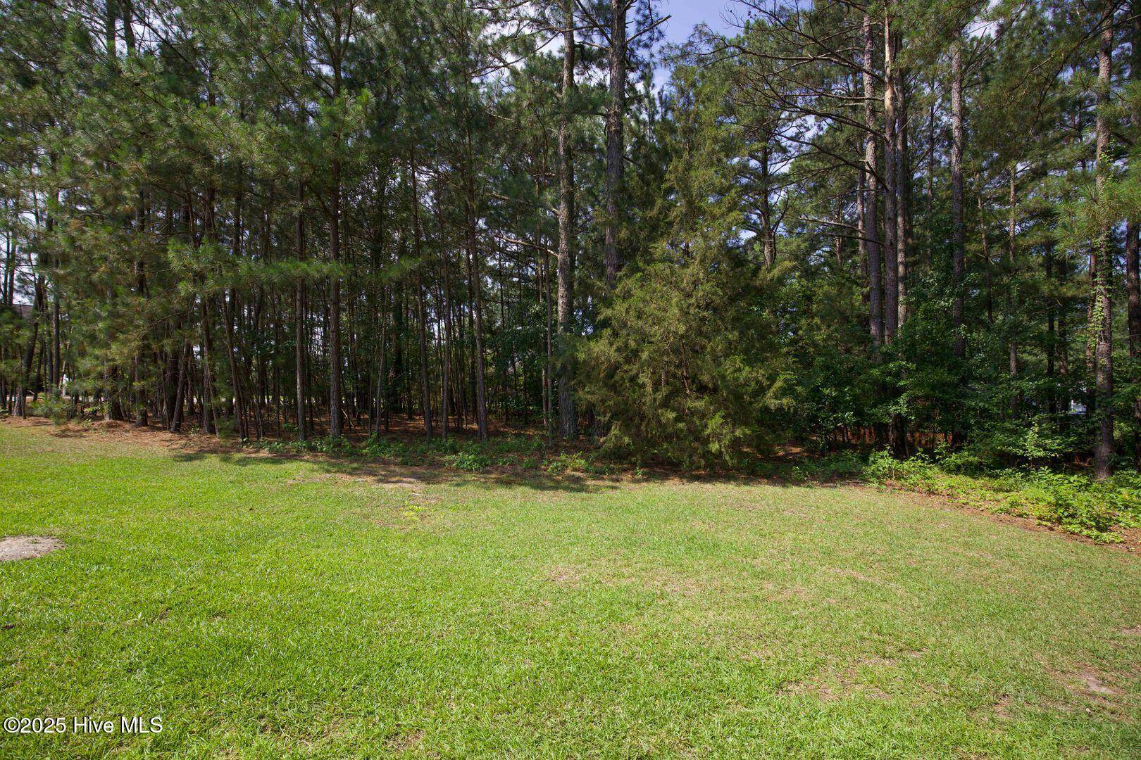 Vass, NC 28394,1205 Greenbriar DR