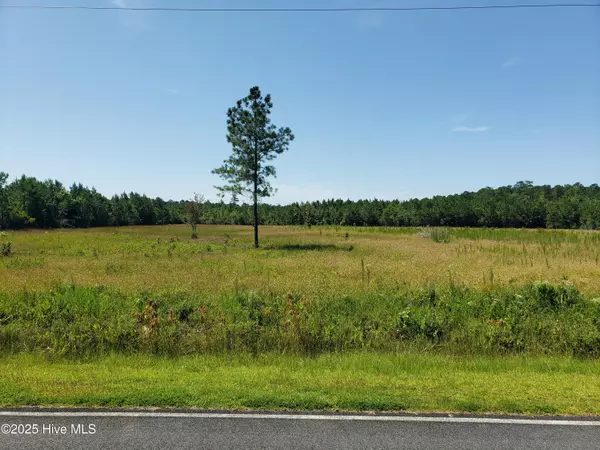 Lake Waccamaw, NC 28450,465 Old Lake Extension RD