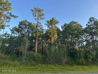L365 & 366 Drayton Road, Boiling Spring Lakes, NC 28461