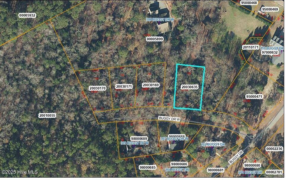 162 Buggy DR W, Carthage, NC 28327