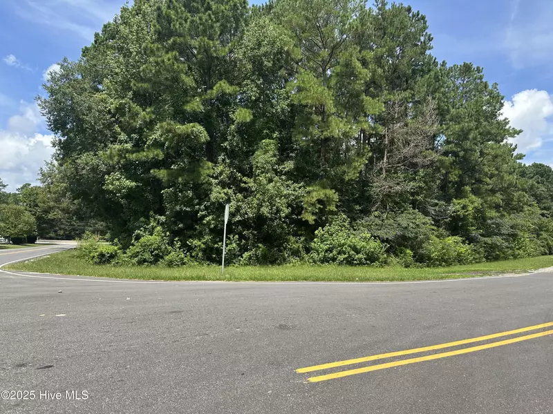 Near 102 Warrior TRL, Whiteville, NC 28472