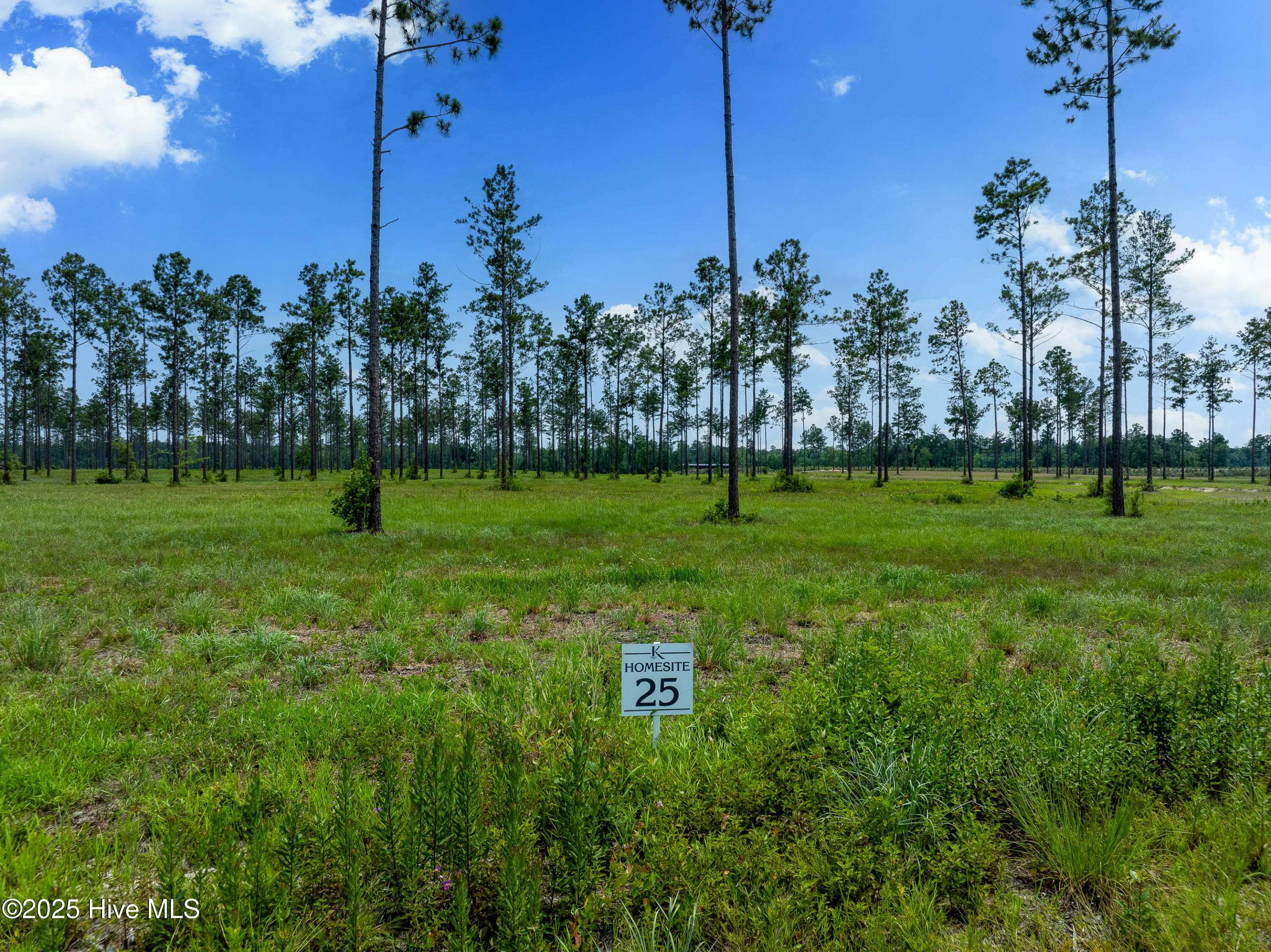 Lot 25 Cattle DR, Rocky Point, NC 28457