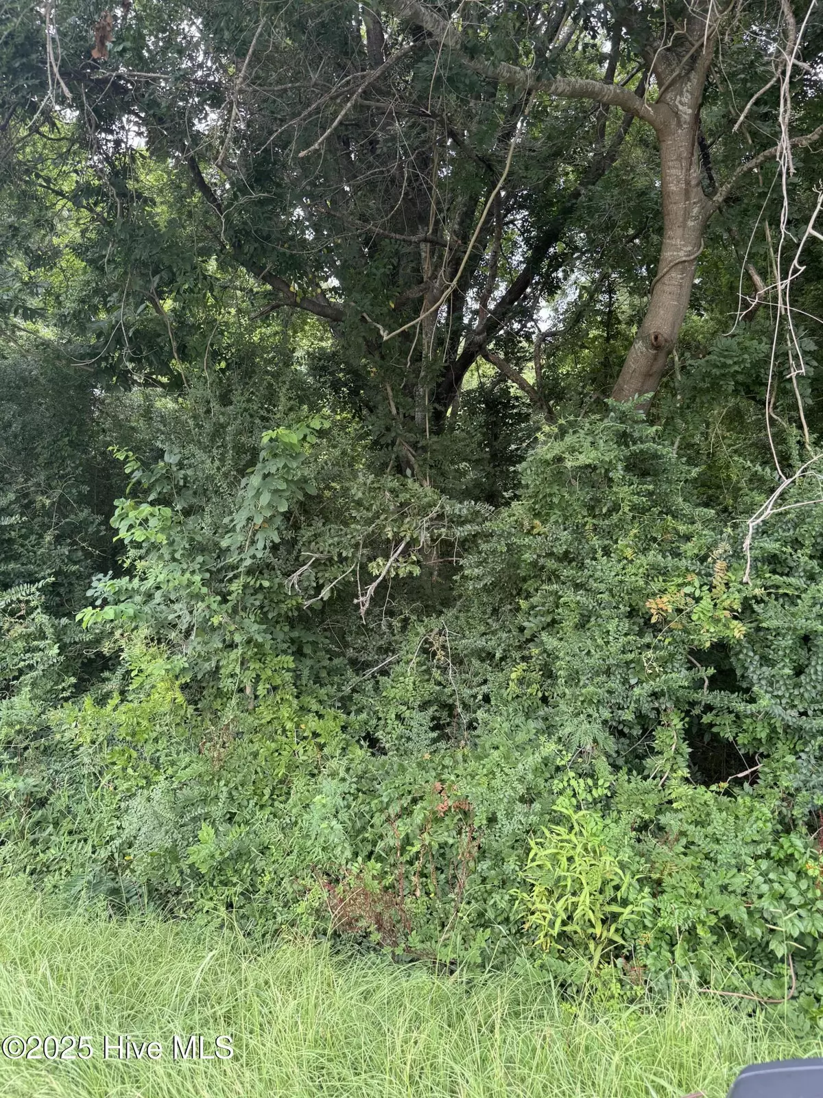 Moyock, NC 27958,185 Sawyer Town RD