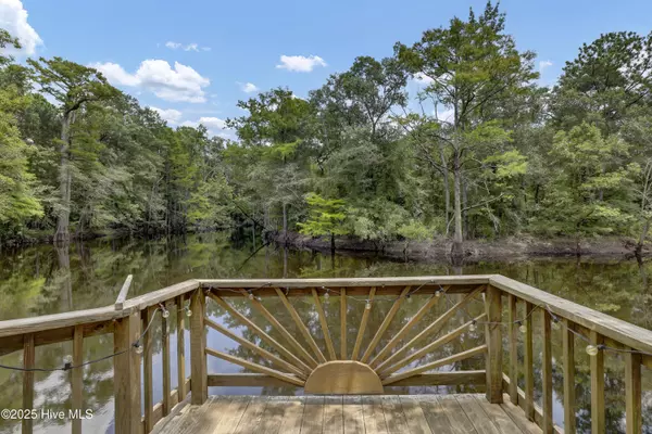 Harrells, NC 28444,728 Albert Beatty LN