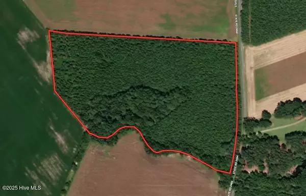 Rowland, NC 28383,Tbd Colville RD