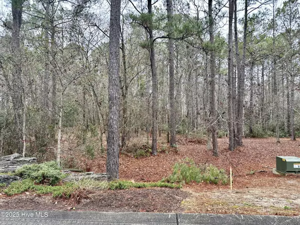 Ocean Isle Beach, NC 28469,538 Lindgrove PL SW