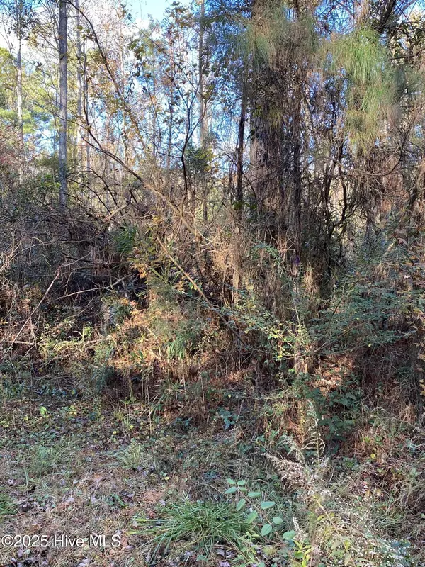 Havelock, NC 28532,257 Wards LN