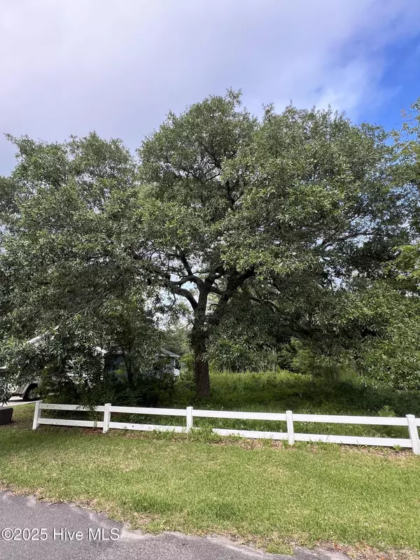 Ocean Isle Beach, NC 28469,1865 Norwood ST SW