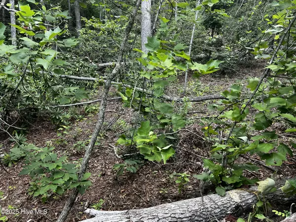 Black Mountain, NC 28711,0 Mount Allen HTS