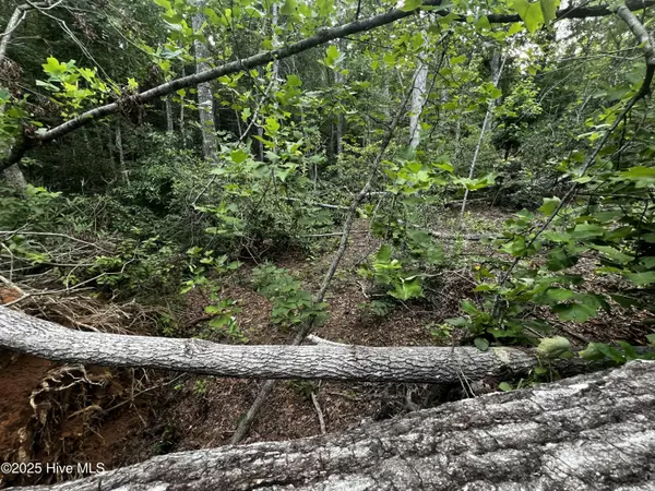 Black Mountain, NC 28711,0 Mount Allen HTS