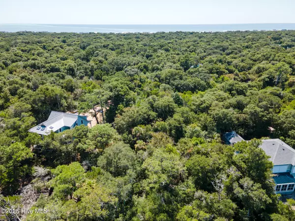 Bald Head Island, NC 28461,2025 Palmetto CV