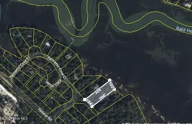 Bald Head Island, NC 28461,2025 Palmetto CV