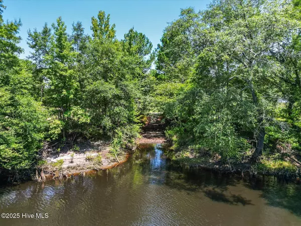 Burgaw, NC 28425,364 Murray Turner Farm RD