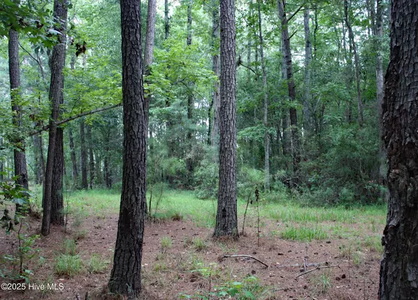 Ocean Isle Beach, NC 28469,6781 Hanbury PL SW