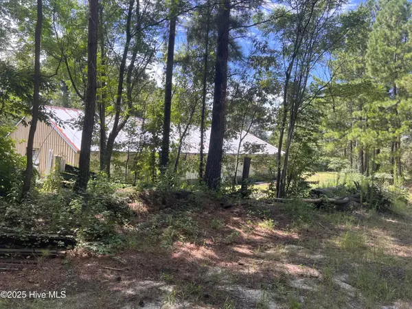 Raeford, NC 28376,161 & 195 Ellington DR