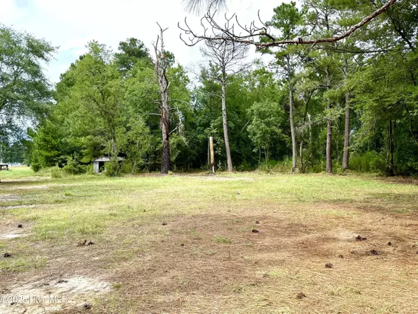 Roseboro, NC 28382,14043 Nc 210