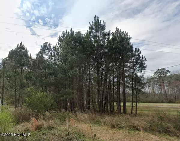 Four Oaks, NC 27524,1184 Devils Racetrack RD