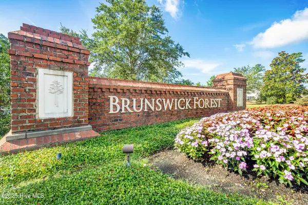 Leland, NC 28451,4010 Druids Glen DR