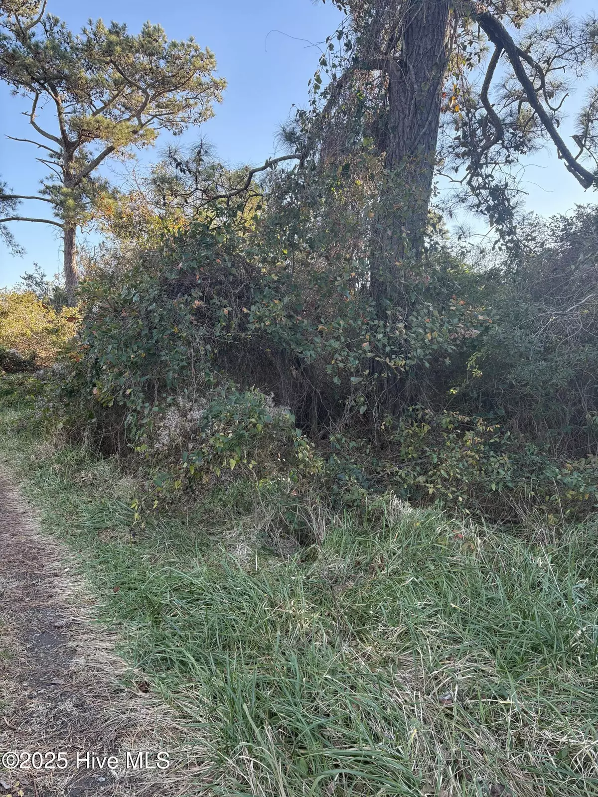 Sea Level, NC 28577,196 Styron Creek RD