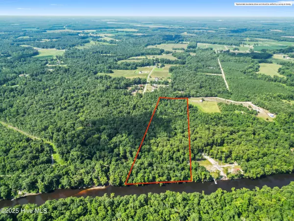 Willard, NC 28478,12ac Turtle Hill TRL