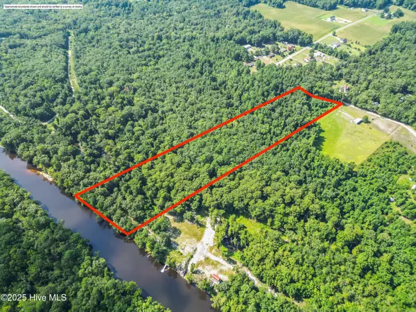 Willard, NC 28478,12ac Turtle Hill TRL
