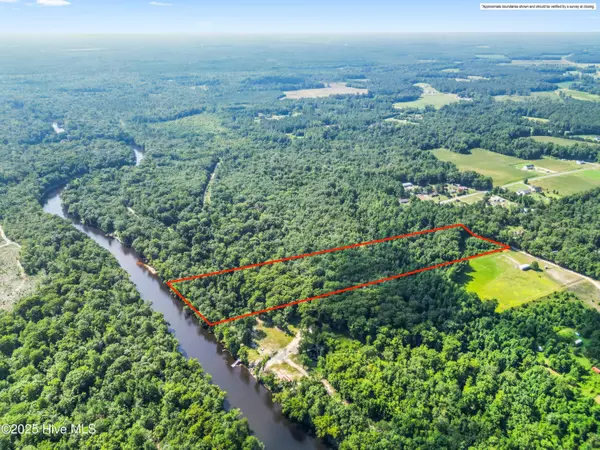 Willard, NC 28478,12ac Turtle Hill TRL