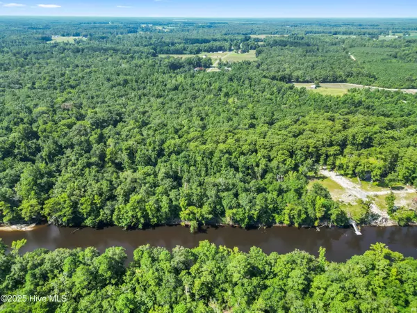 Willard, NC 28478,12ac Turtle Hill TRL