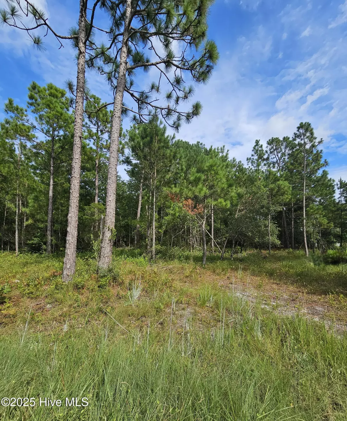 Holly Ridge, NC 28445,0000 Hines Stump Sound Church RD