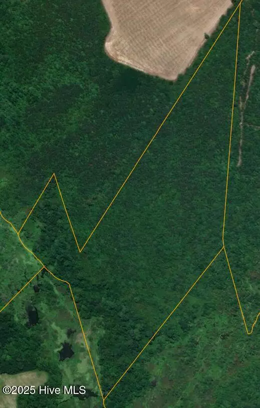 Faison, NC 28341,0 E Darden RD