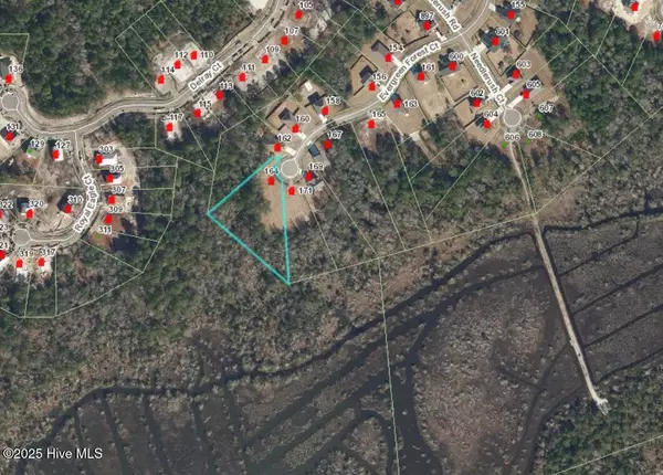 Sneads Ferry, NC 28460,164 Evergreen Forest CT