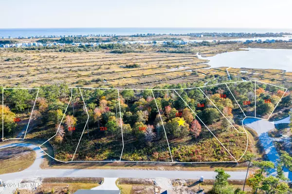 Sneads Ferry, NC 28460,339 Landon LN