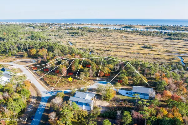 Sneads Ferry, NC 28460,401 Harrison CT