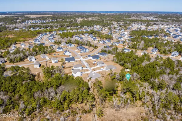 Sneads Ferry, NC 28460,607 Needlerush CT