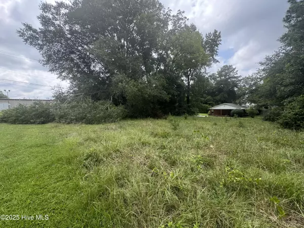 Kenansville, NC 28349,115 Stokes ST